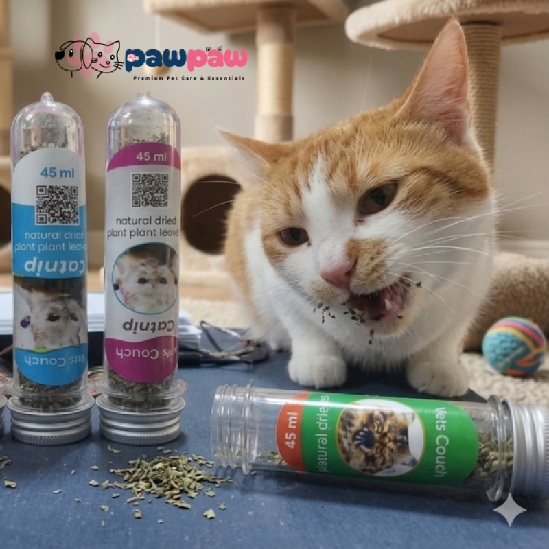 Premium Natural Organic Catnip Vial Set