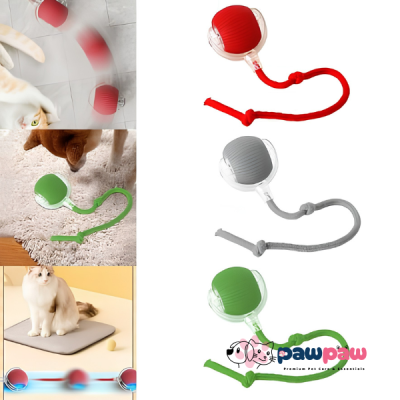 🐾 Smart Automatic Rolling Chase Ball