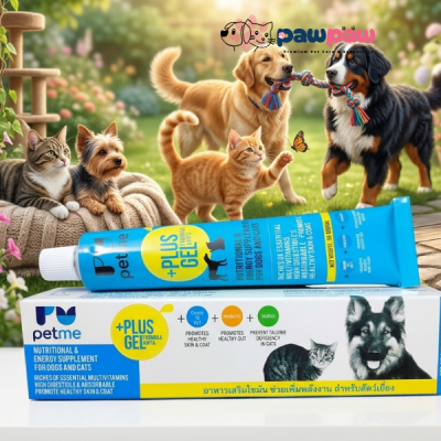 Petme Plus Gel - Nutritional & Energy Supplement for Dogs & Cats (30g)