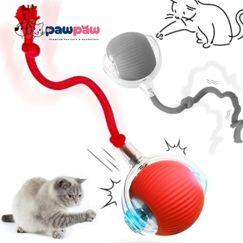 🐾 Smart Automatic Rolling Chase Ball