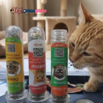 Premium Natural Organic Catnip Vial Set