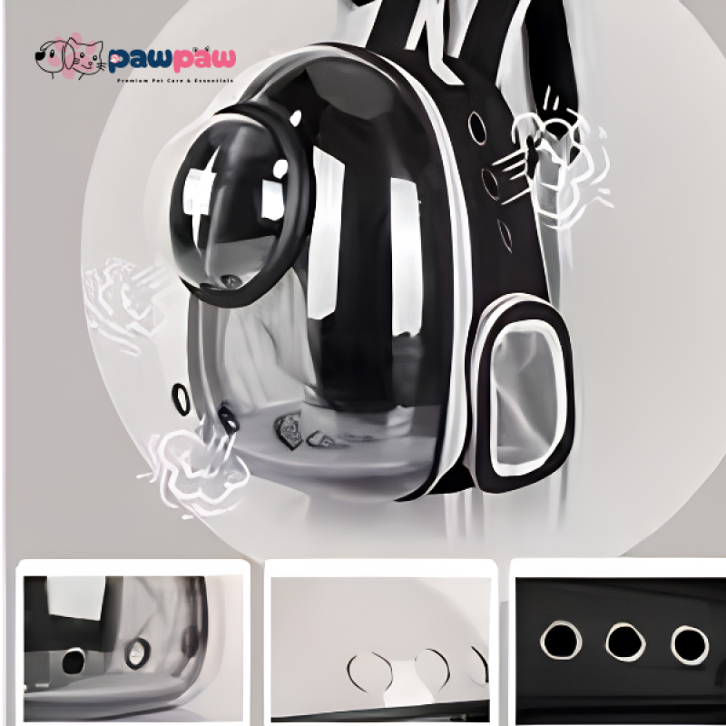 PawPaw Extra Large Transparent Pet Carrier Backpack